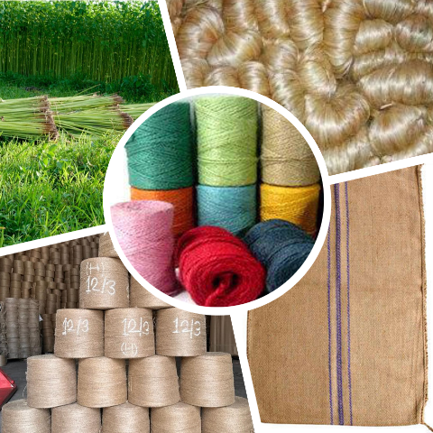 Jute and Jute Products